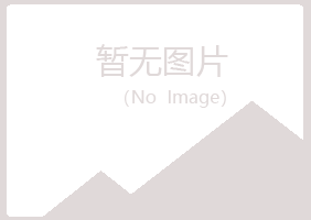 阜新安雁化学有限公司